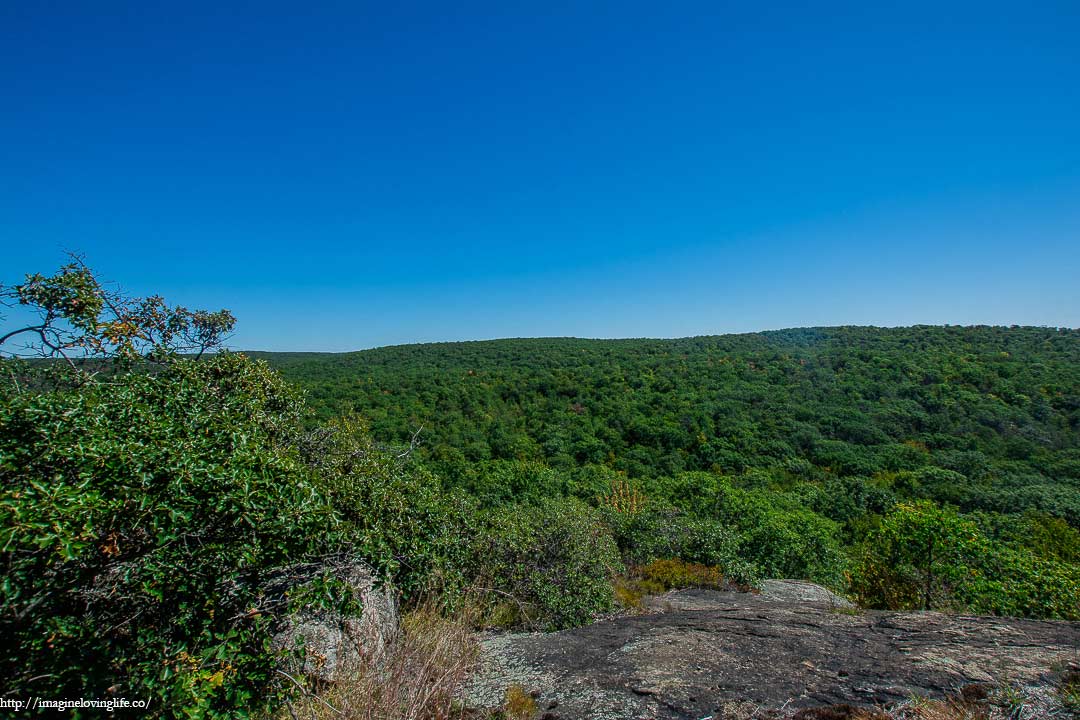 raccoon brook hill lookout